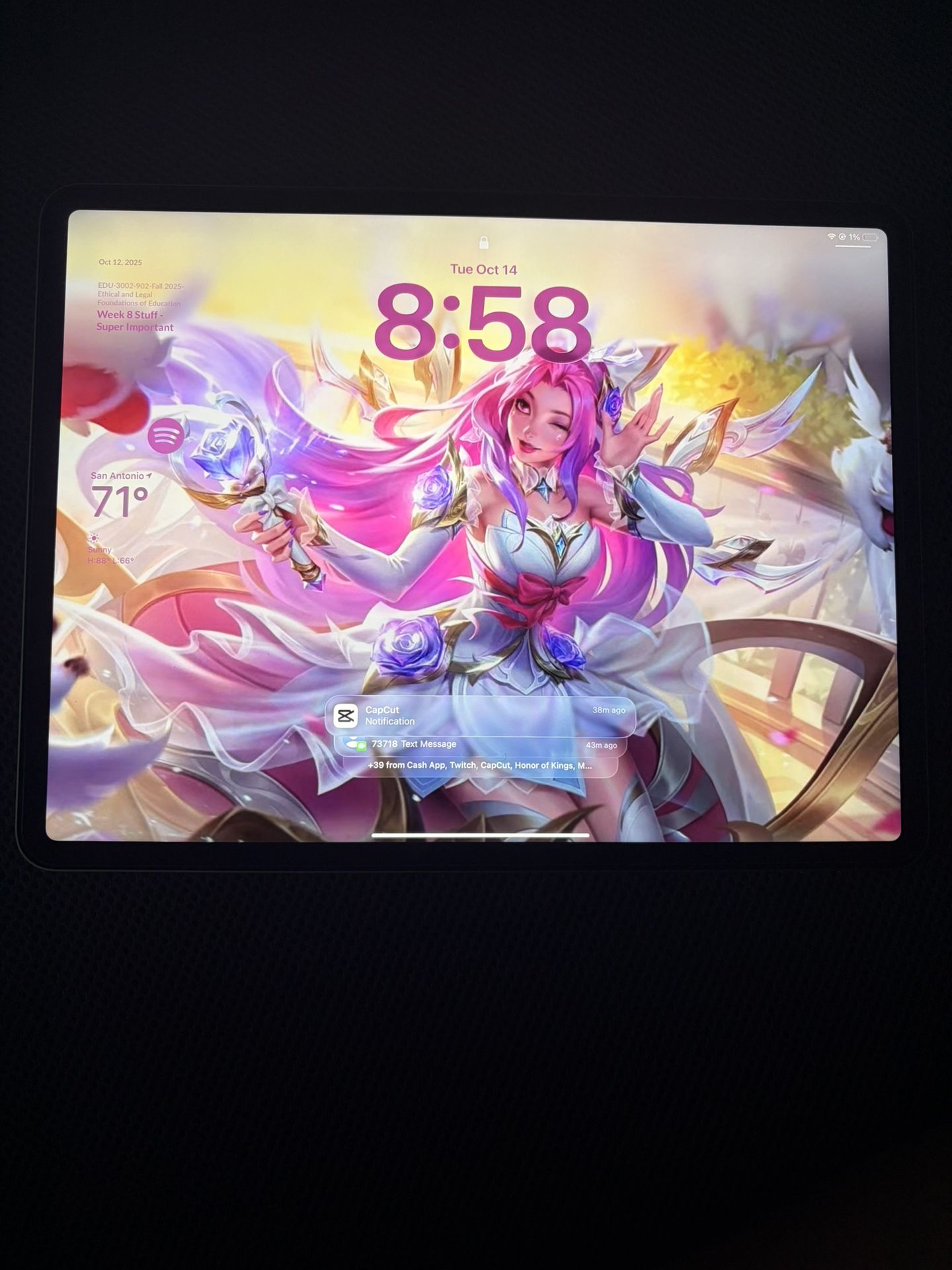 iPad Pro 4th generation 1TB