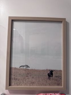 Set of 2 Framed Safari Landscape Prints – Target