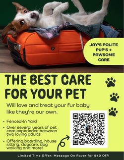 Dog training/boarding/washing