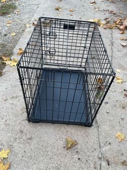 Kennel