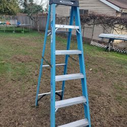 6 Foot Leadder