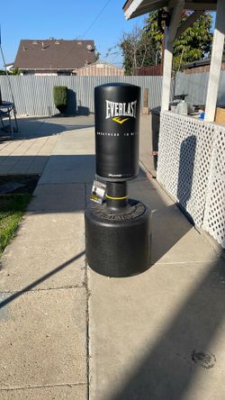 Everlast Power Core Free Standing Bag   Level 2