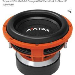 1- 6000 Watt 12 inch Subwoofers