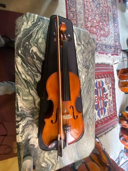 16.5 Viola Cecilia 400