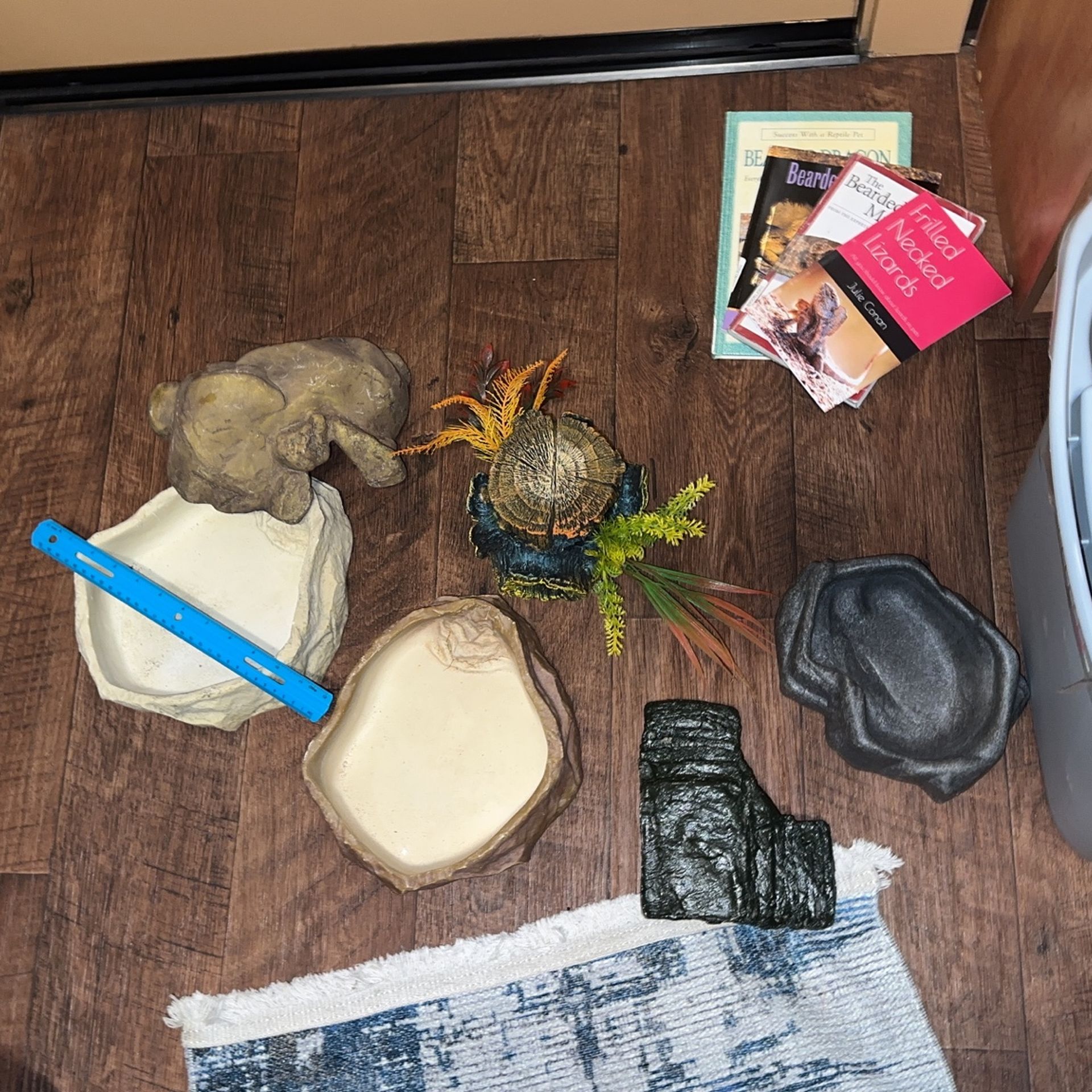 Reptile Accessories