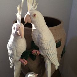 Beautiful Pot Painted Inside And Out-design Goes All Around Pot