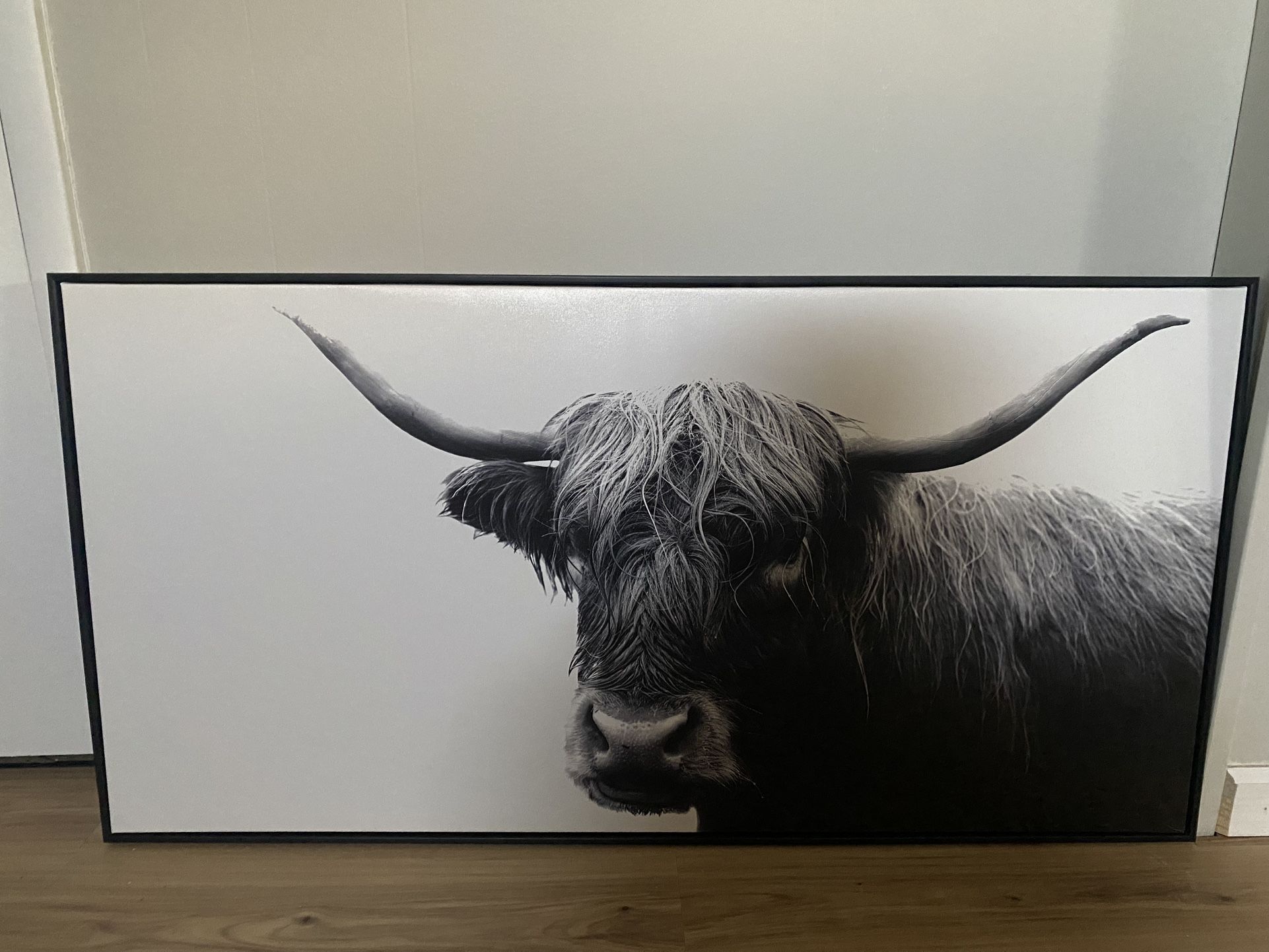 Highland Cow Art Decor