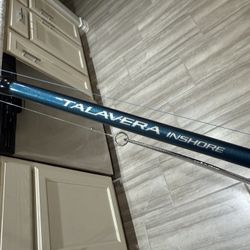 Inshore Fishing Rod And Reel