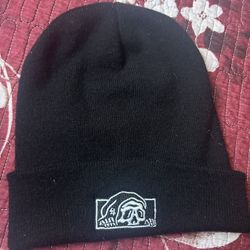 Lurking class beanie