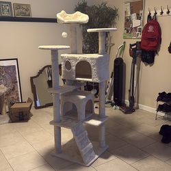 Brand New Cat Tree!