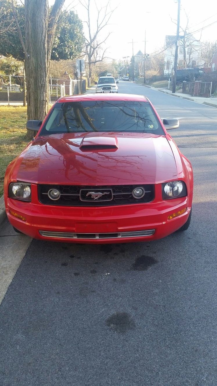 Mustang 08