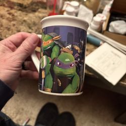 Teenage Mutant Ninja Turtles Glass Mug