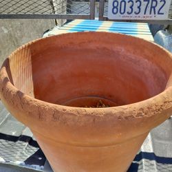 Pot