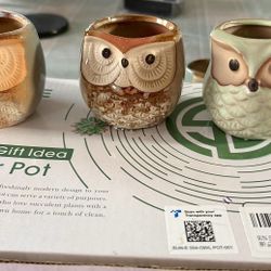 Small Owl Flower Pots For Small Plants. 