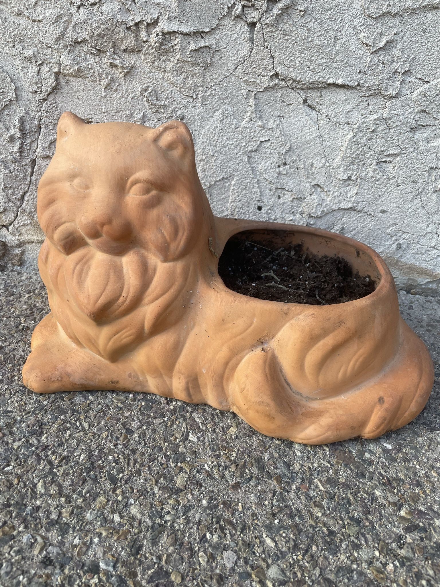 🐈 Terracotta Cat Planter $20 92014