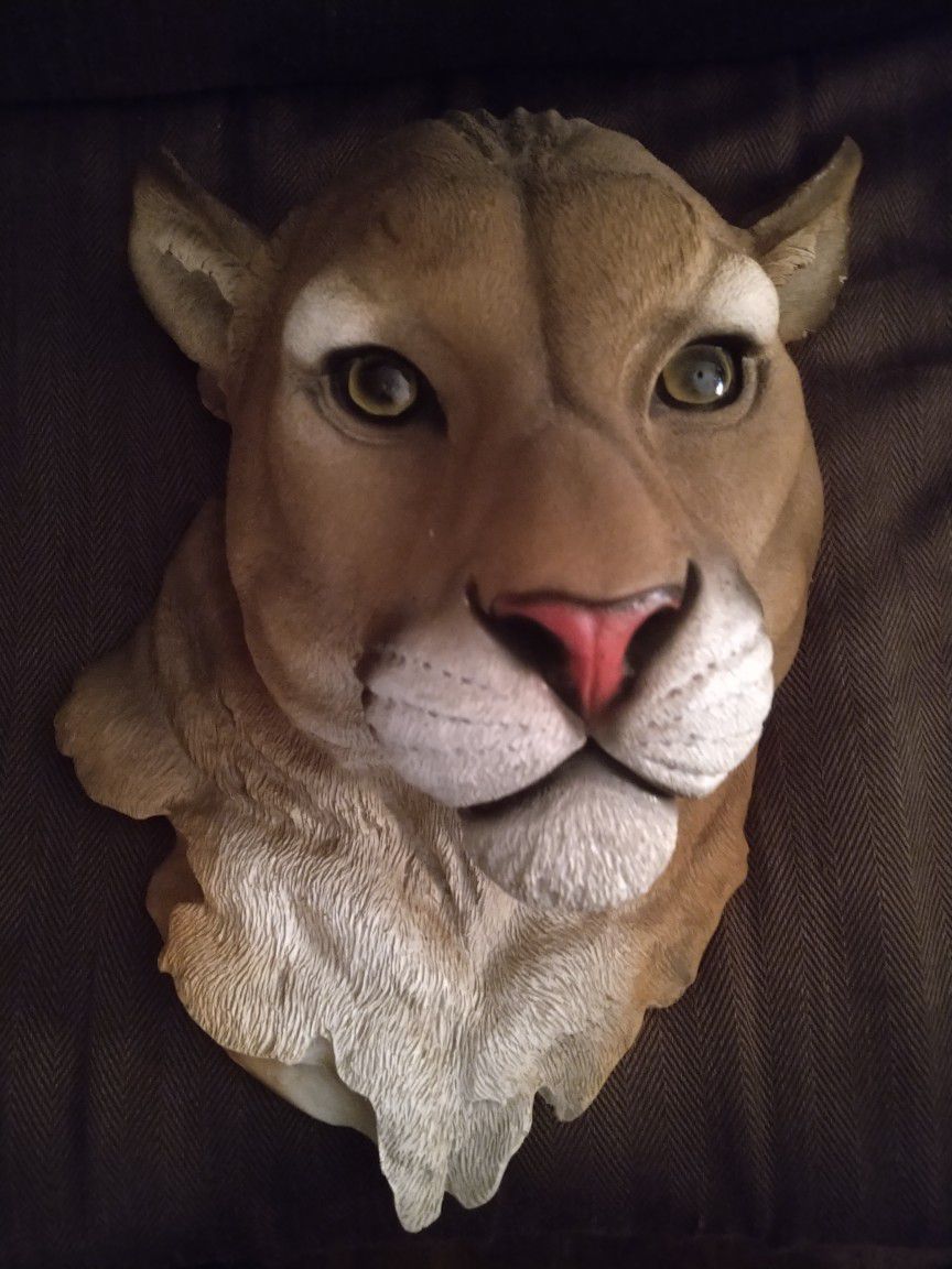 Mountain Lion Bust 