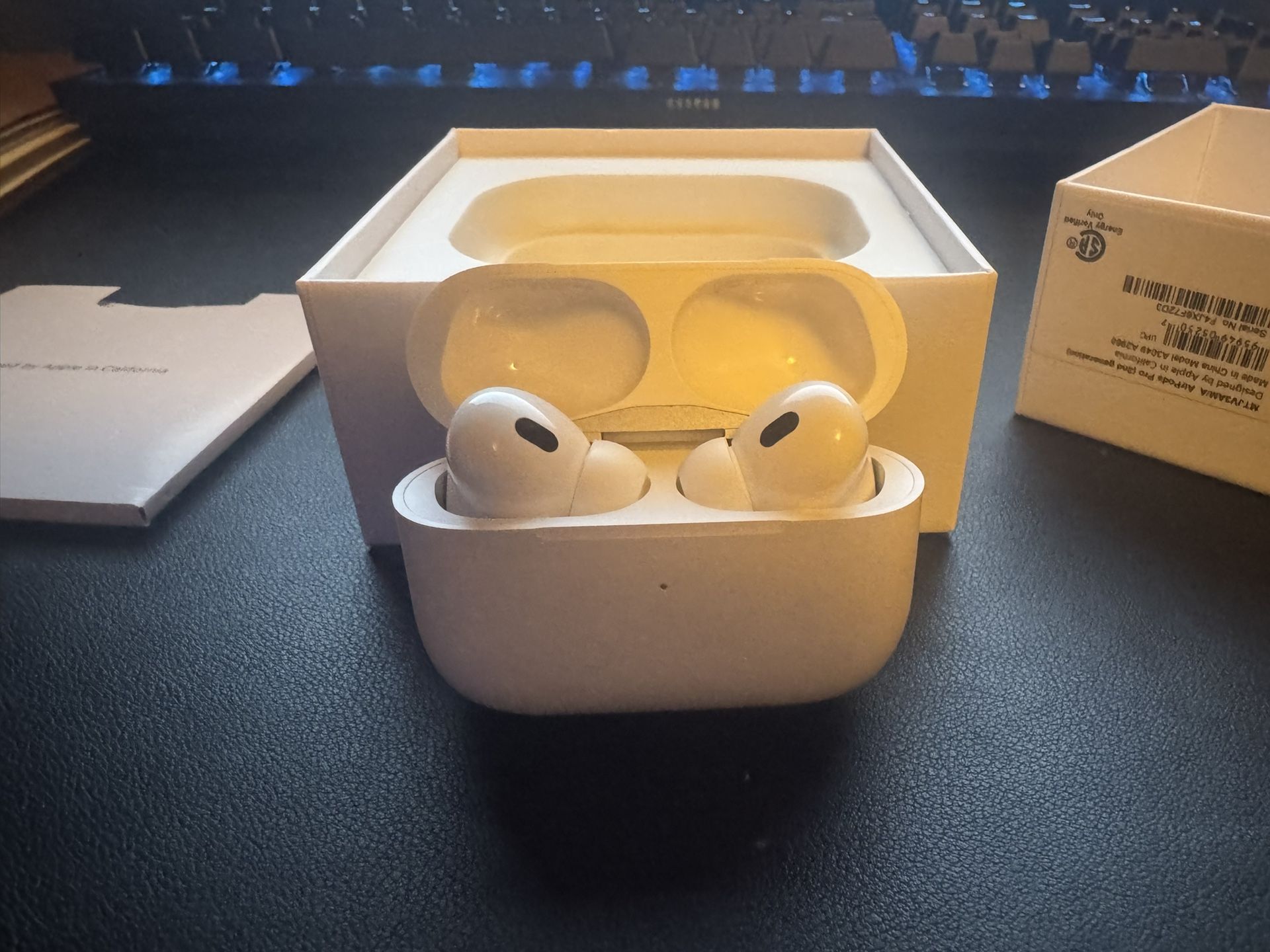 Apple Earphones 