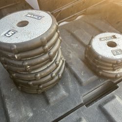 50lbs Of Weights-Now Reduced 