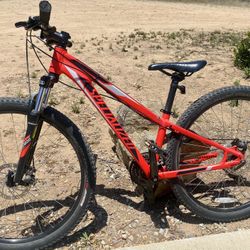 Specialized Mountain Bike 