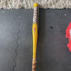 Softball Bat