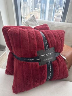 Red Accent Pillows 2x