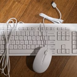 New HP Mouse & Keyboard 2025