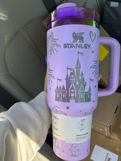 Disneyland Castle Stanley