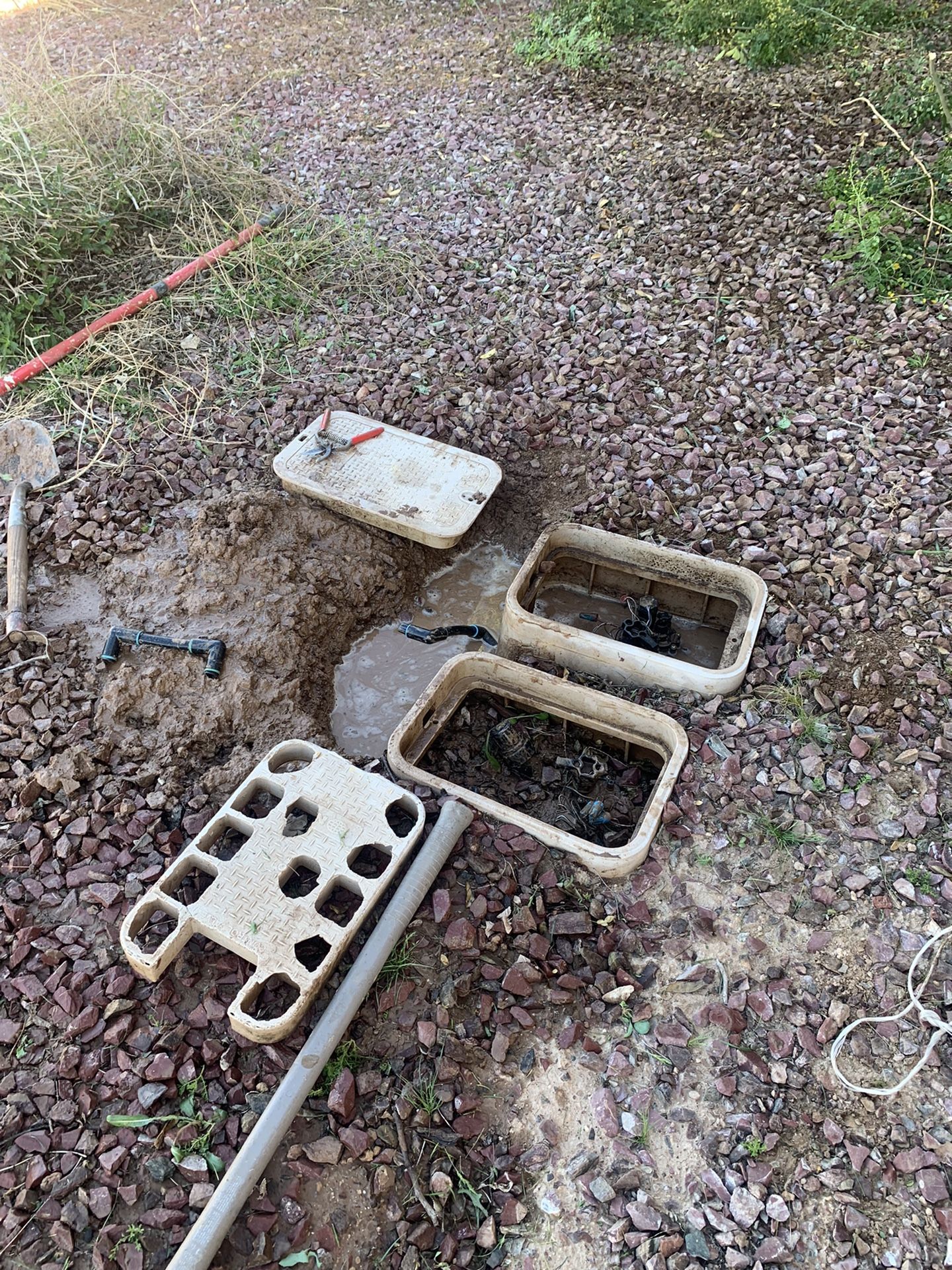 Sprinklers,irrigation,leaks