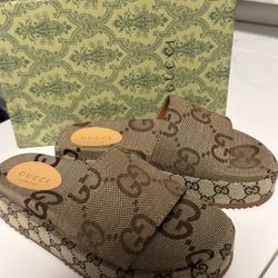 Sands Gucci