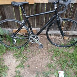 Giant Road Bike