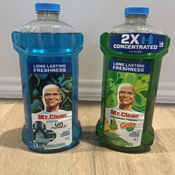 Household Bundle (Mr Clean)