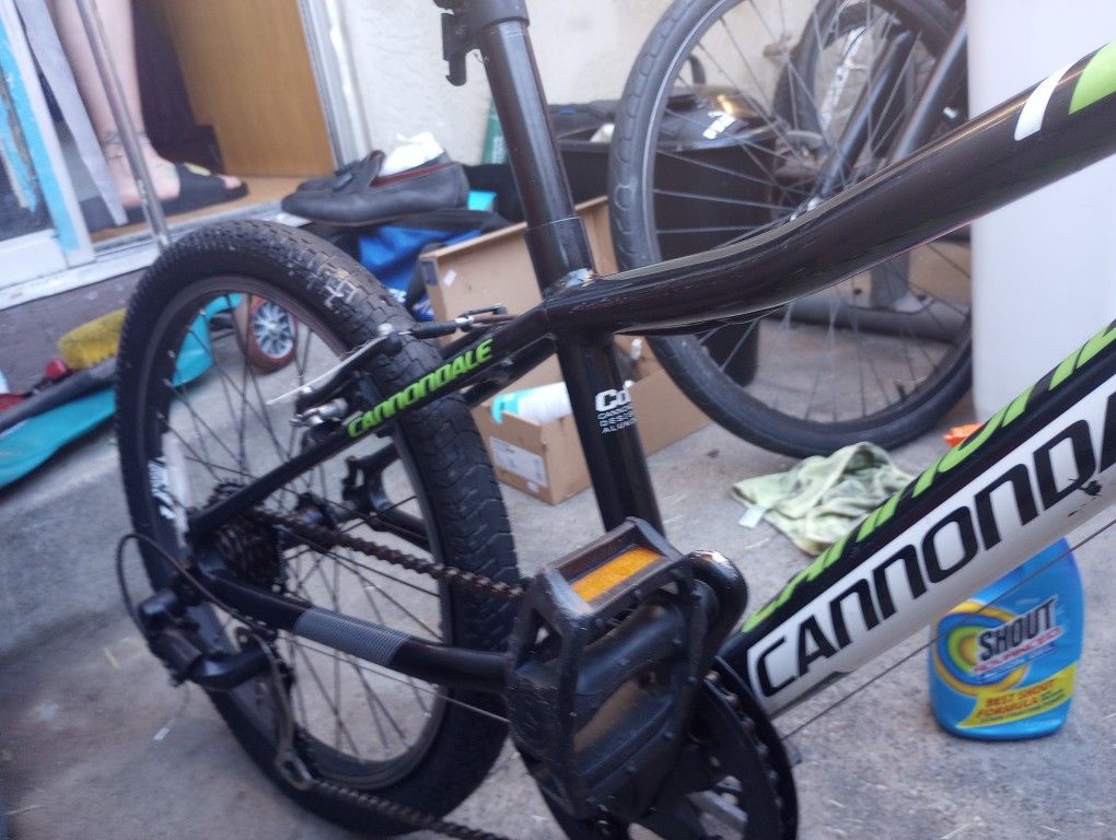 Cannondale Kids Mountain Bike