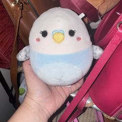 Little Baby Chick Squishmallow 