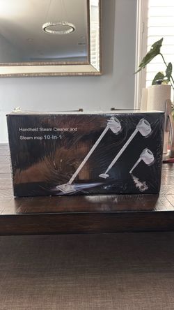 Handheld steam cleaner
