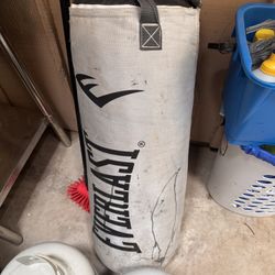 Ever Last Punching Bag 