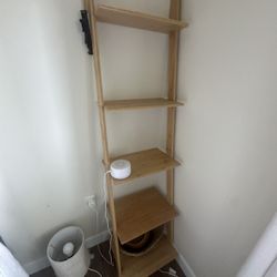 Ladder Shelf
