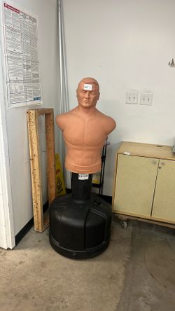Century Punching Man 