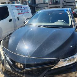 Parabrisas/Windshields 