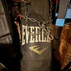 Everlast Punching Bag