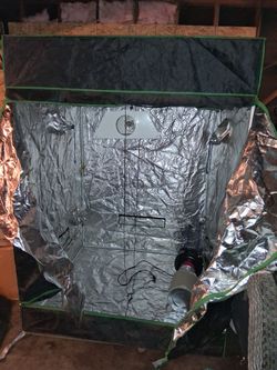 Hydroponic Grow Tent 