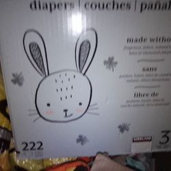 Size 3 Kirkland Diapers 