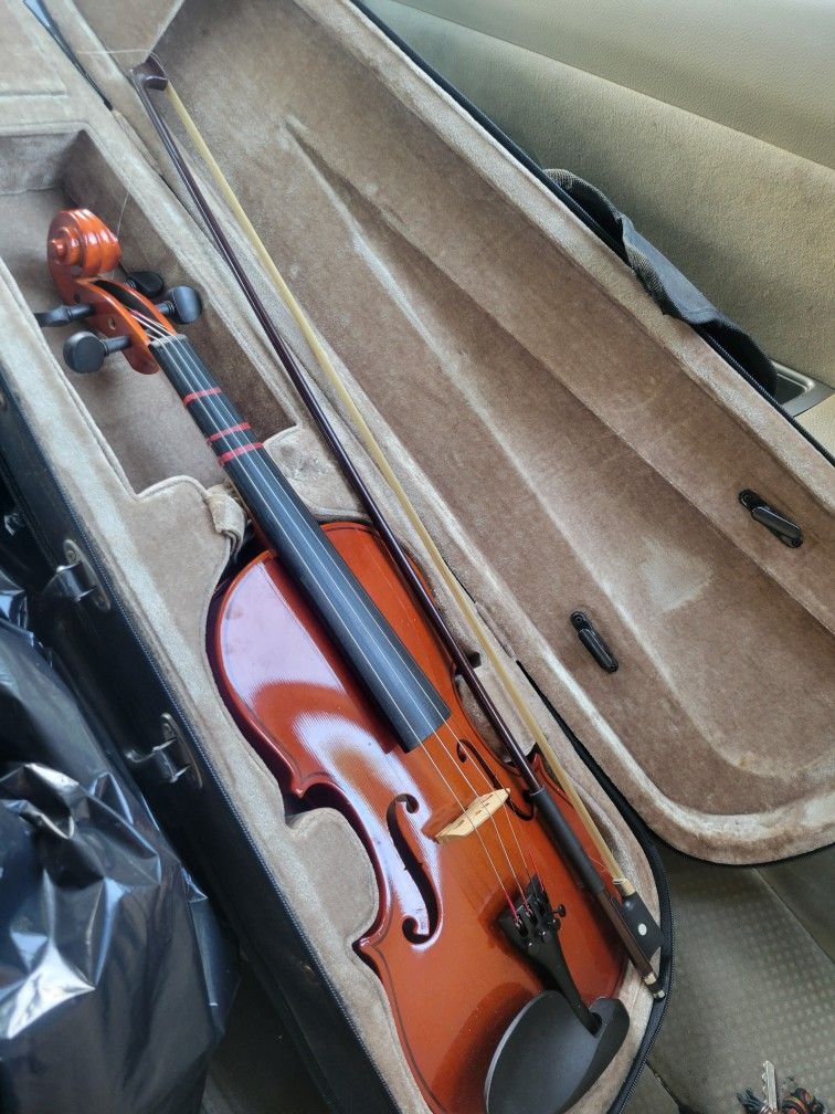 Violin
