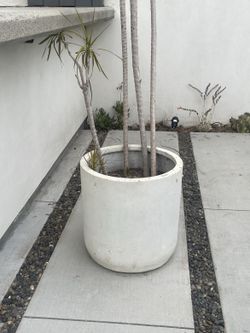 Large White Ceramic Planter
