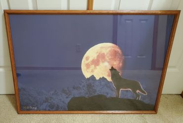 Wolf Framed Print