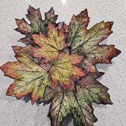 Beautiful natural Leaf Dish