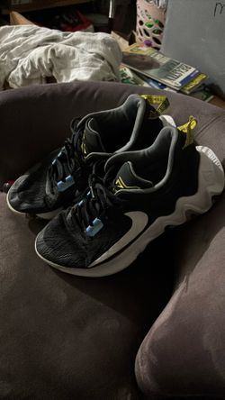 Nike Giannis Immortality 2 basketball shoes