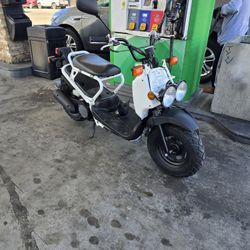 2006 Honda Ruckus Moped 