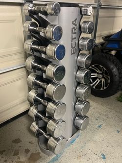 Chrome Dumbbells with Vertical Rack