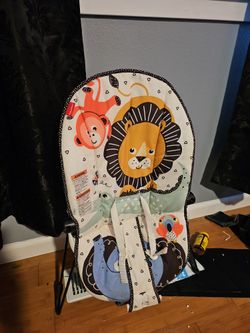 Baby Einstein Baby Bouncer Chair
