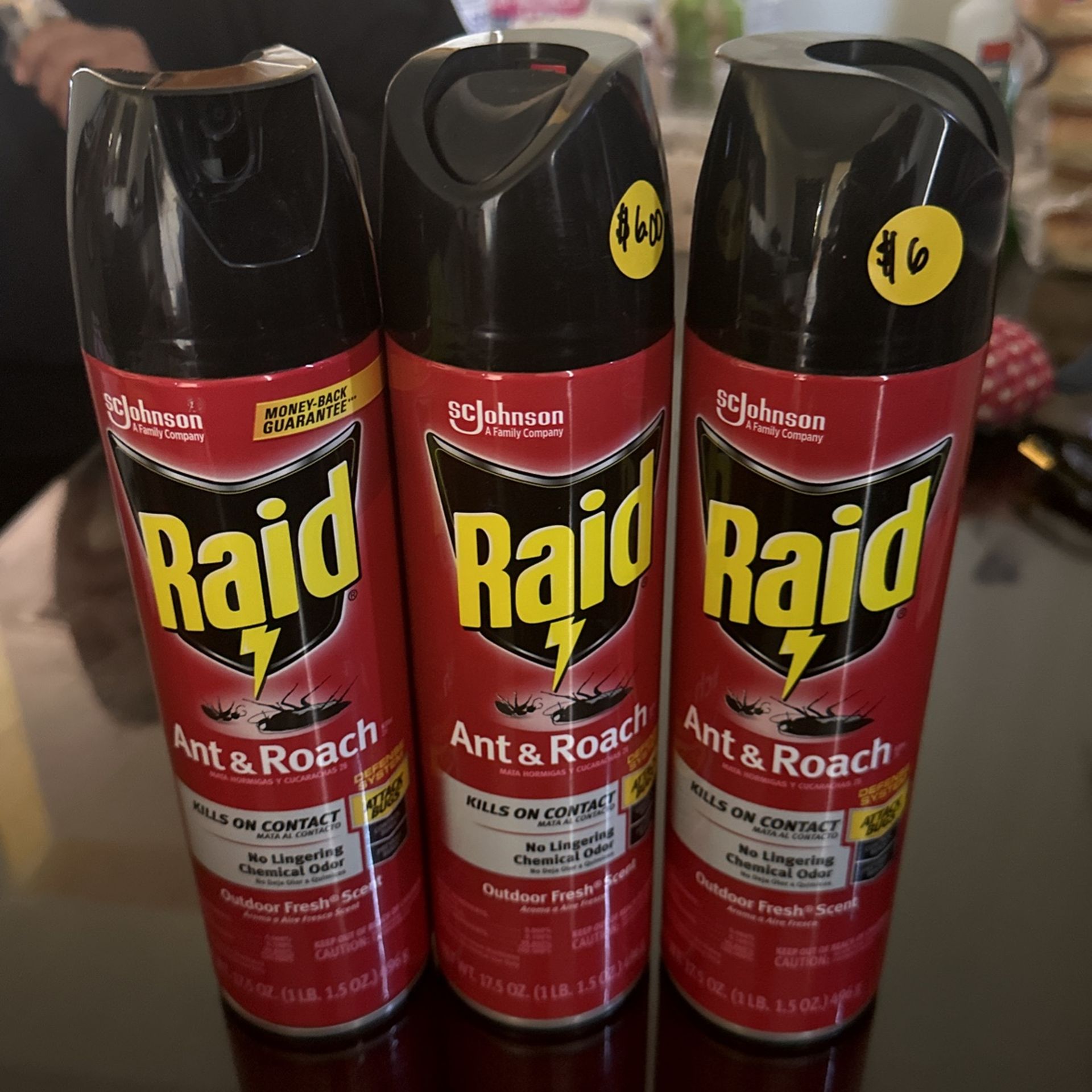 Raid Ant And Roach Spray 